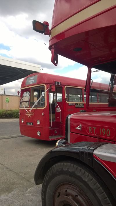 A wedding ribbon gives away the next journey of our 1952 Regal IV bus.
Weddings, birthday parties and school proms are now the reason for this ex-LondonTransport single decker to be maintained in private use.